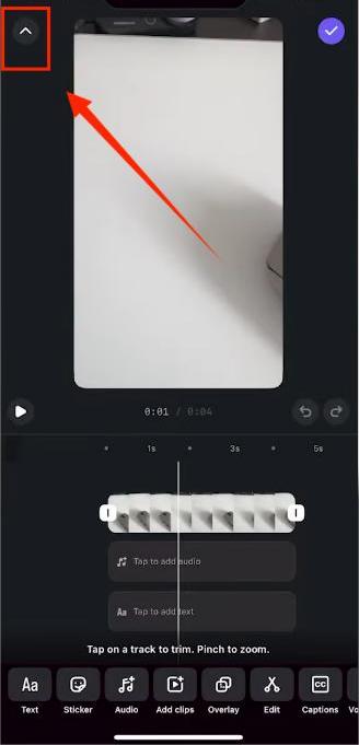 how to download instagram audio