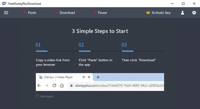 FreeGrab disney video downloader