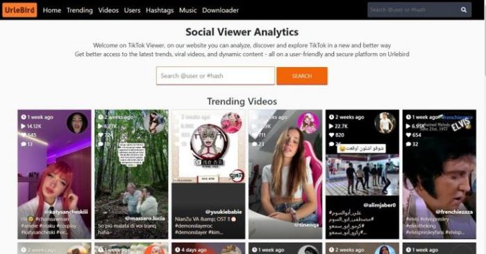 Watch TikTok without App urlebird