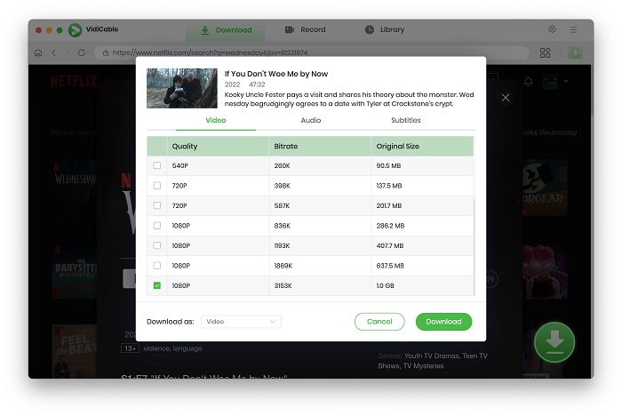 search netflix movies on mac