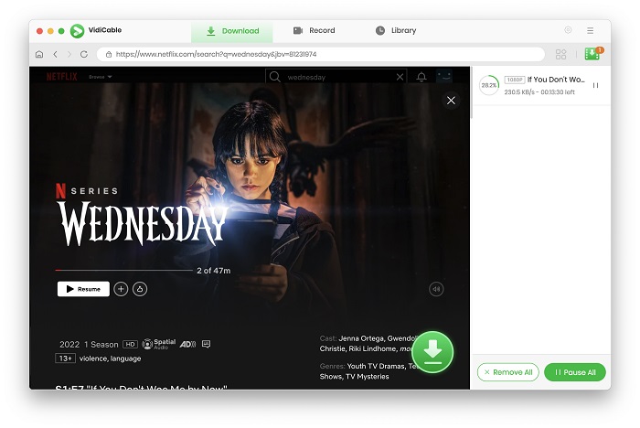 download netflix movies on mac